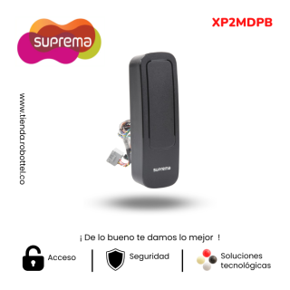 XP2MDPB-1_Acceso-peatonal