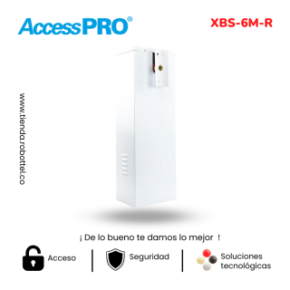 Xbs-6m-R-3_Acceso-Vehicular