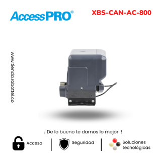 Xbs-Can-Ac-800-1_Acceso-Vehicular
