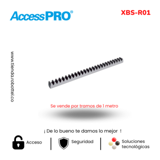 Xbs-R01-1_Acceso-Vehicular