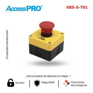 Xbs-S-T01-1_Acceso-Vehicular